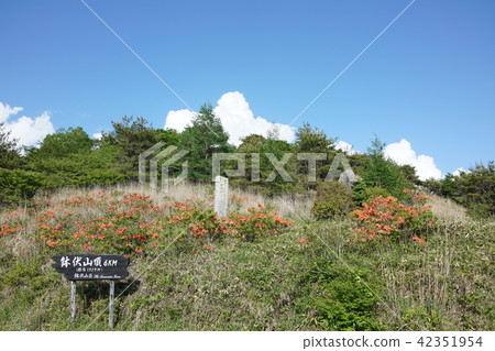 6 kilometers up to the top of Bokpei Yeichi Nakagawa monogatari High Botch Takahara Shiojiri City 6 kilometers up to the top of Bokpei Yeichi Nakagawa monogatari High Botch Takahara Shiojiri City 42351954