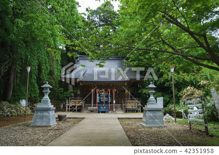 Akiho Otaki不可移動 42351958