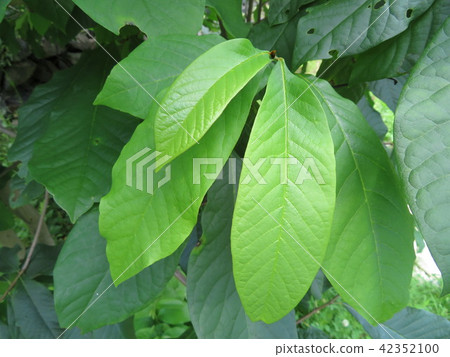 波波夫離開 波波夫離開 42352100