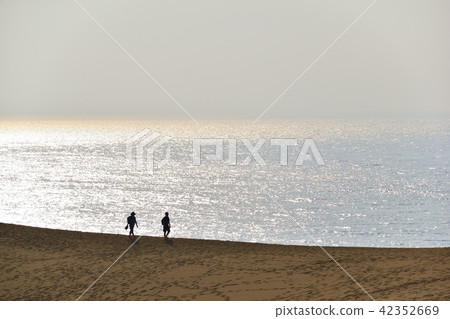 沙丘流浪者 42352669