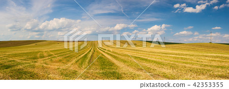 Harvested empty field on the hills Harvested empty field on the hills 42353355
