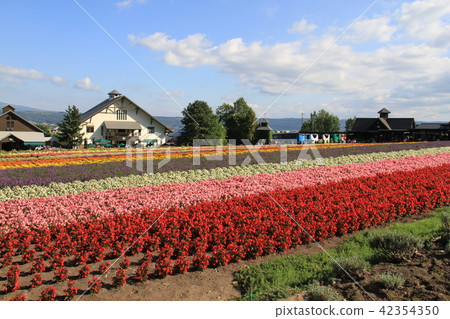 富田農場 富田農場 42354350