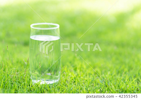 Closeup glass of water on green grass nature  42355345