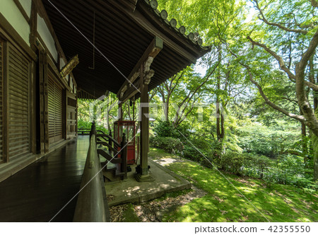 Temple of hydrangea Kuchiji 42355550