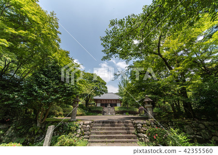 Temple of hydrangea Kuchiji Temple of hydrangea Kuchiji 42355560