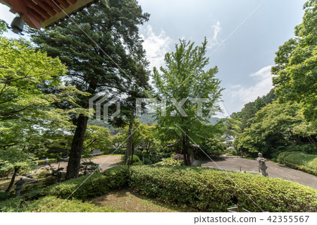 繡球花Kuchiji寺廟 42355567