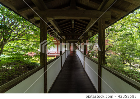 Temple of hydrangea Kuchiji Temple of hydrangea Kuchiji 42355585
