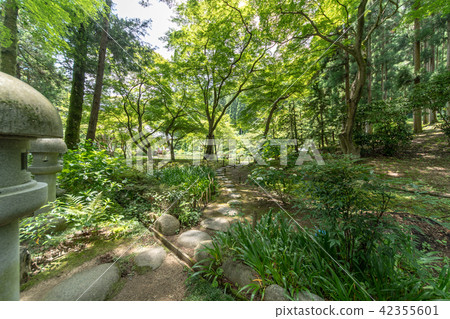 Temple of hydrangea Kuchiji Temple of hydrangea Kuchiji 42355601