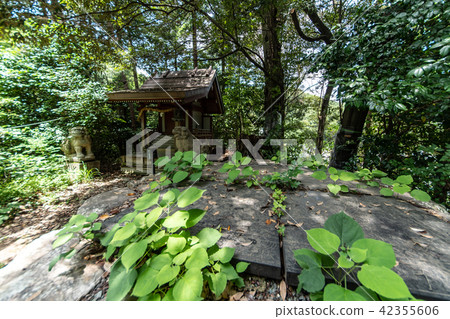 Temple of hydrangea Kuchiji 42355606