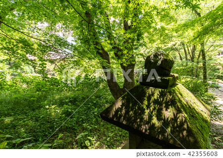 Temple of hydrangea Kuchiji Temple of hydrangea Kuchiji 42355608