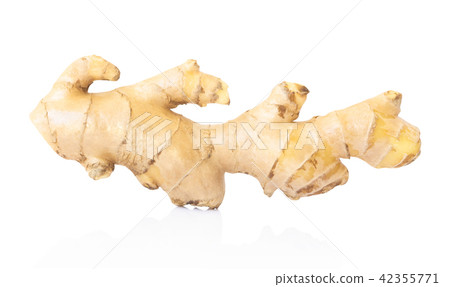 Fresh ginger root on white background for herb Fresh ginger root on white background for herb 42355771