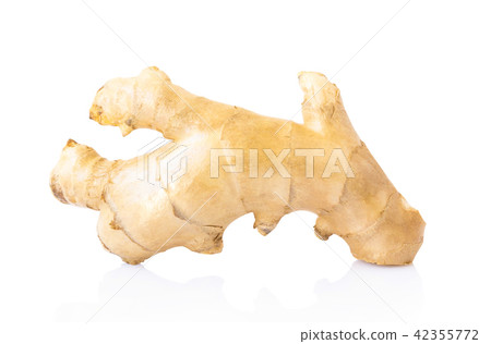 Fresh ginger root on white background for herb Fresh ginger root on white background for herb 42355772