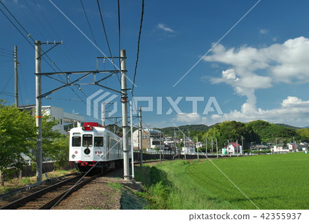 白色火車 42355937