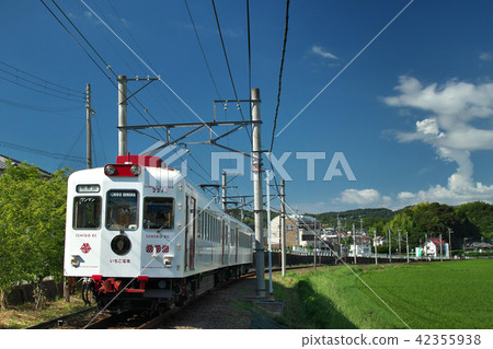 White train 42355938