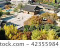 Deoksugung Palace 42355984