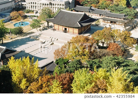 Deoksugung Palace 42355984