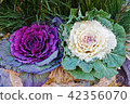 Bright leaf of New Year material · Kadomatsu 2 color · horizontal position 42356070
