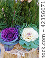 Bright leaf of New Year material · Kadomatsu 2 color · vertical position 42356071