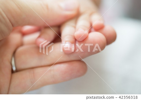 Baby and mother's hand 42356318