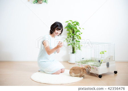 Pet Female Lifestyle 42356476