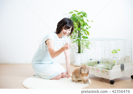 Pet Female Lifestyle 42356478