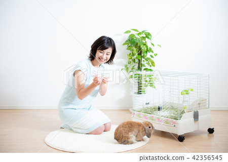 Pet Female Lifestyle 42356545