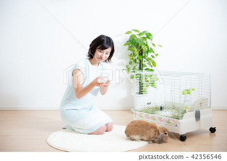 Pet Female Lifestyle 42356546