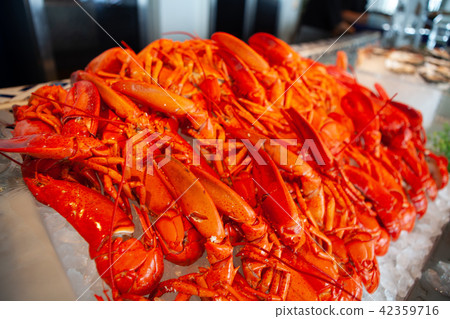 Fresh and tasty Maine Lobster or American lobster. 42359716