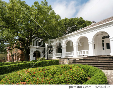 新北市真理大學校園 42360126