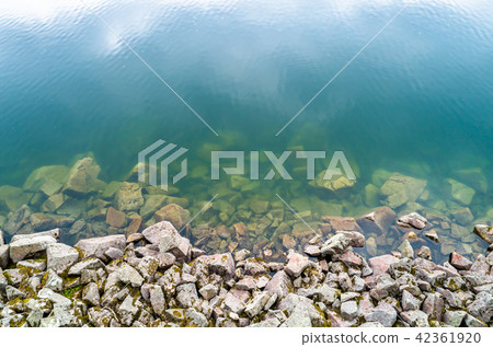 Shore of Lac Blank, a lake in the Vosges Mountains 42361920