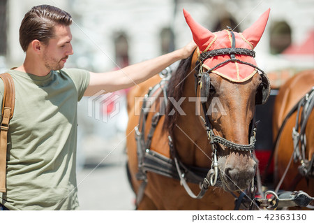 Tourist man enjoying a stroll through Vienna and looking at the beautiful horses in the carriage Tourist man enjoying a stroll through Vienna and looking at the beautiful horses in the carriage 42363130