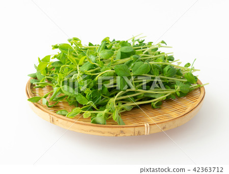 Bean seed vegetables 42363712