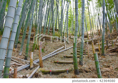 高雄城堡遺址 高雄城堡遺址 42364080