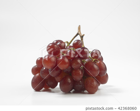 grape grape 42368060