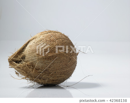 coconut coconut 42368138