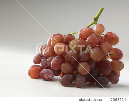 grape grape 42368214