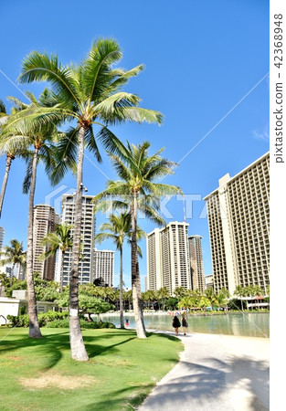 夏威夷的假期 42368948