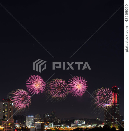 煙花匯演,煙花匯演,夜景 煙花匯演,煙花匯演,夜景 42369060