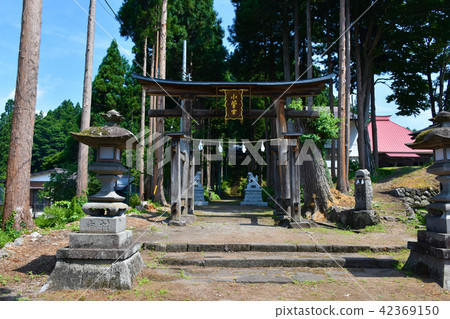 小杉神社Riyu 小杉神社Riyu 42369150