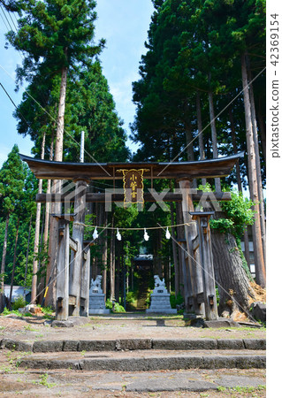 小杉神社Riyu 42369154