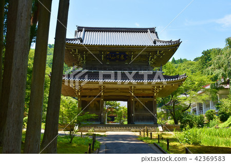 臨泉寺山門 42369583