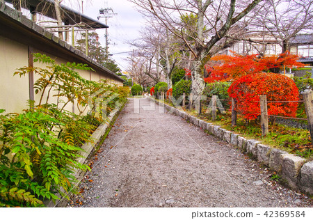 京都在秋末，從早晨的哲學方式看 42369584