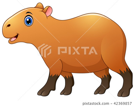 Vector illustration of Cute capybara cartoon Vector illustration of Cute capybara cartoon 42369857