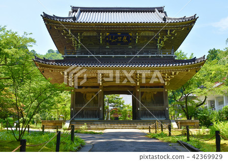 臨泉寺山門 42369929