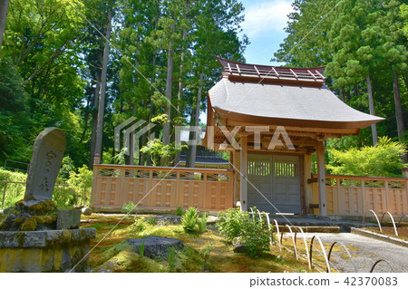 Rinjisenji Somon 42370083