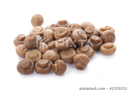 champignon mushroom on white background champignon mushroom on white background 42370253