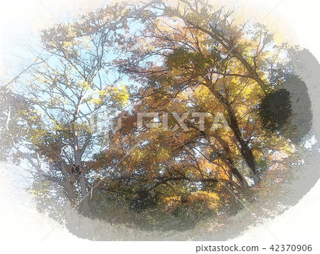 湖秋天山毛櫸森林 湖秋天山毛櫸森林 42370906