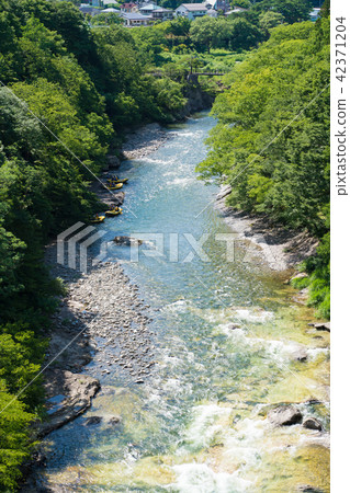 Tone River in summer Tone River in summer 42371204