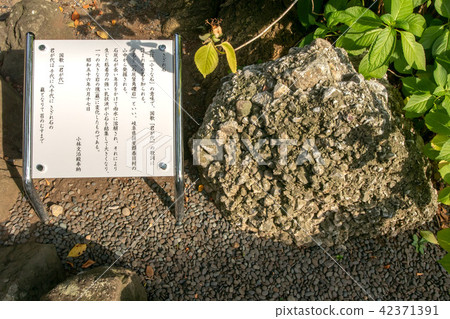 Hie Shrine 42371391
