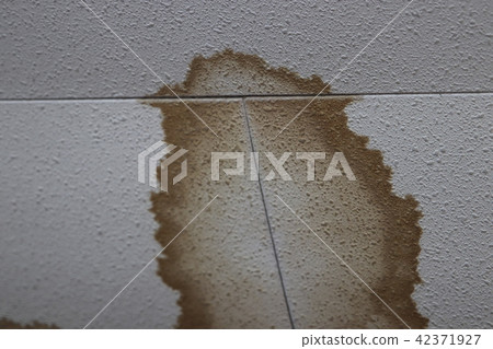 [Home remodeling] Ceiling stains 42371927